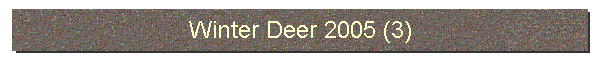 Winter Deer 2005 (3)